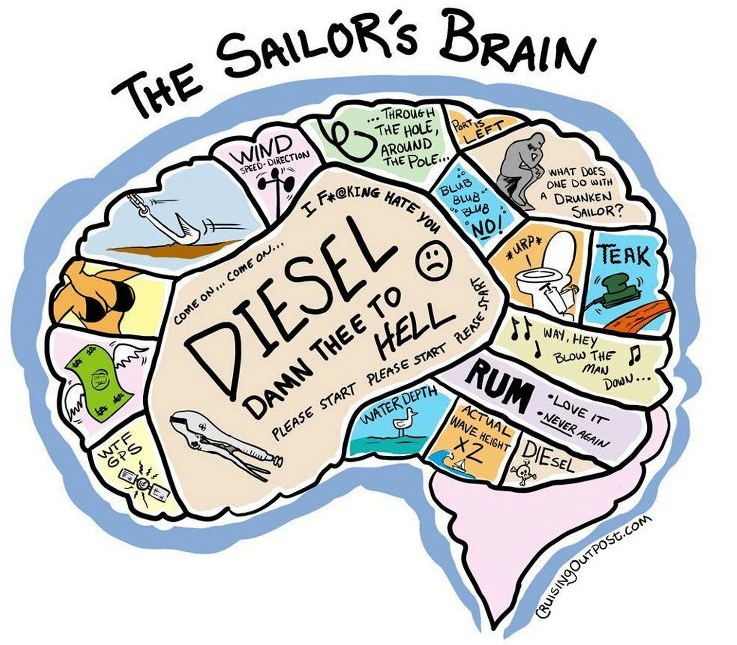 sailors brain.png